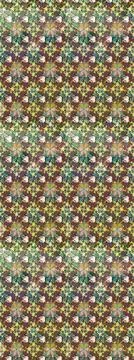 Interesting super cute abstract and nice picture Illustrazione stock