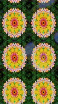 Interesting super cute abstract and nice picture Stock Illustration