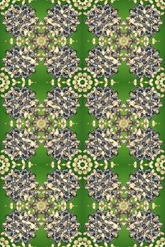 Interesting super cute abstract and nice picture Illustrazione stock