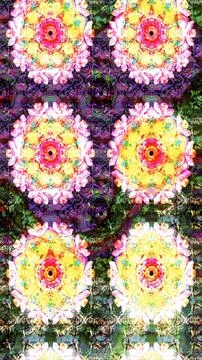 Interesting super cute abstract and nice picture Illustration