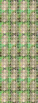 Interesting super cute abstract and nice picture Illustrazione stock
