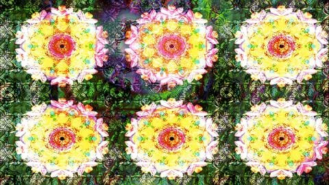Interesting super cute abstract and nice picture Stock Illustration