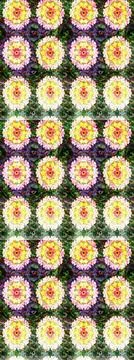 Interesting super cute abstract and nice picture Illustrazione stock