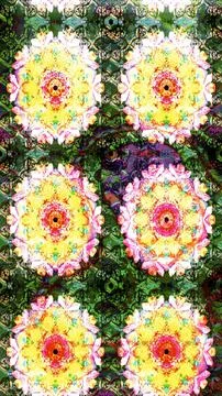 Interesting super cute abstract and nice picture Illustrazione stock