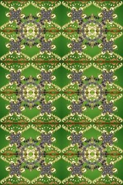 Interesting super nice abstract and cute picture Illustrazione stock