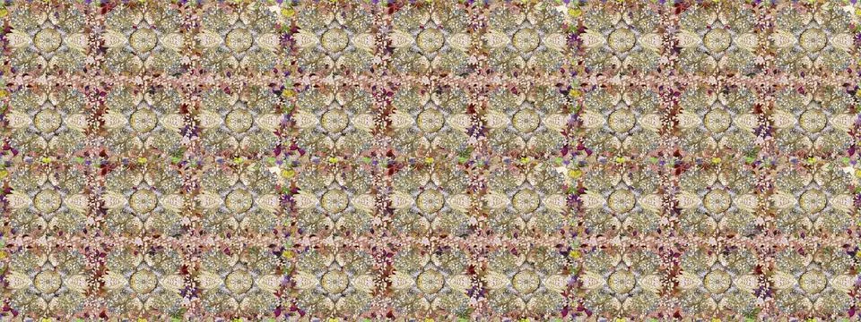 Interesting super nice abstract and cute picture Illustrazione stock