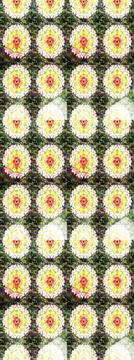 Interesting super nice abstract and cute picture Stock Illustration
