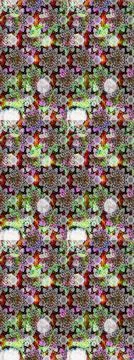 Interesting super nice abstract and cute picture Stock Photos