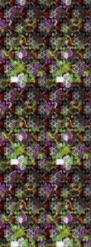 Interesting super nice abstract and cute picture Stock Photos
