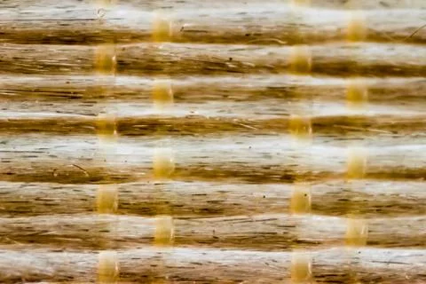 Interesting texture shoot from bamboo surface Stock Photos