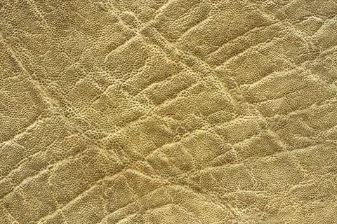 Interesting textured elephant skin, pattern of real leather for your design Stock Photos