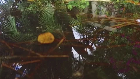 Interesting tropical water reflection Stock Footage 143349904