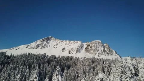 Interesting view from above of pine trees covered with a snow near mountain Stock Footage 273920202