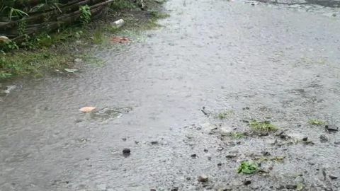 Interesting Water Flow From Heavy Rain Stock Footage 217374367