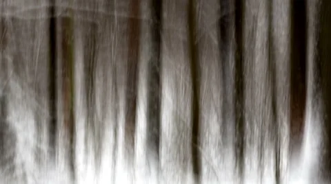 Interesting winter forest in motion. Stock Footage 51121446