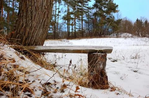 Interesting wooden bench at trees on a winter glade Stock Photos