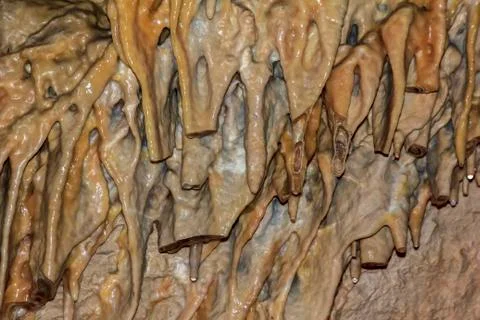 Interestingly shaped stalactite structures hanging from the wall of a cave. Stock Photos