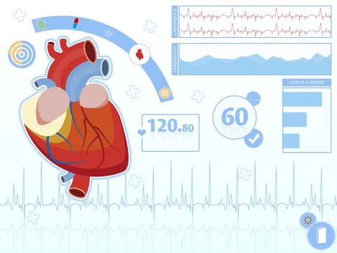 Interface of medical application cardiological diagnostic, illustration Illustrazione stock