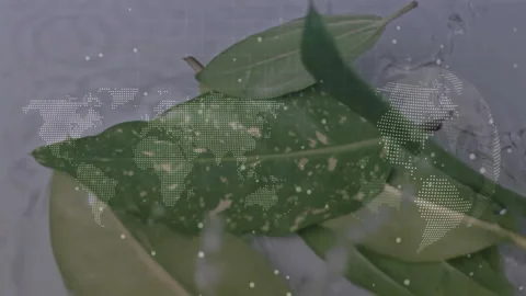 Interface opening dotted map icons and code drifting shifting onto leaves Stock Footage 311947397