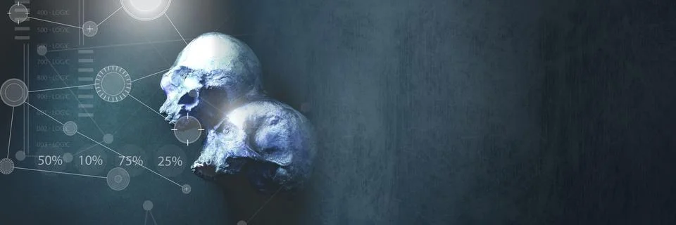 Interface overlay of connection statistics graphics with archaeology human skull Stock Illustration