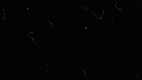 Interference in the form of lint and grain noise mask effect imitation of old Stock Footage 132025385