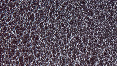 Interference noise black and white Stock Footage 205748634