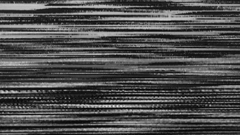 Interference Patterns of Black and White Stripes. Classic Analog TV Effect 動画素材 295156841