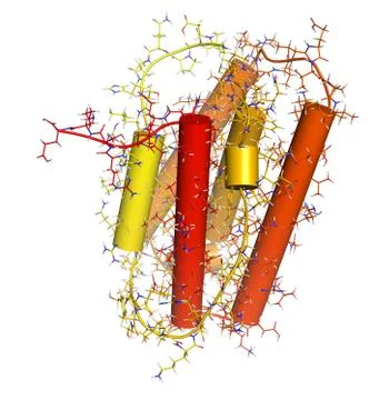 Interferon alpha 2a (ifna2) molecule. pegylated analogs of this cytokine are  Stock Illustration