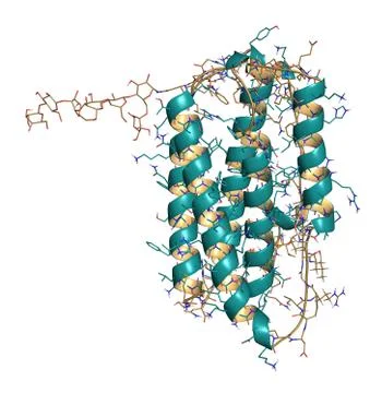 Interferon beta molecule, chemical structure. cytokine used to treat multiple Stock Illustration