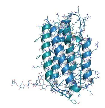 Interferon beta molecule, chemical structure. cytokine used to treat multiple Stock Illustration