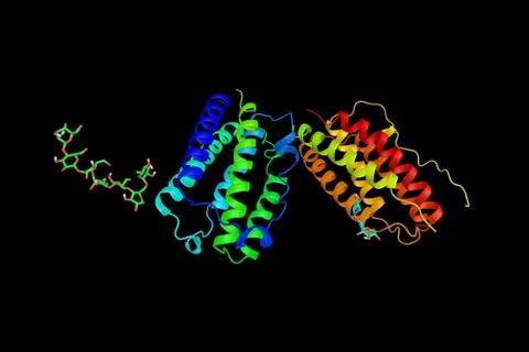 Interferons (3d structure), used to treat multiple sclerosis, a group of si.. Stock Illustration
