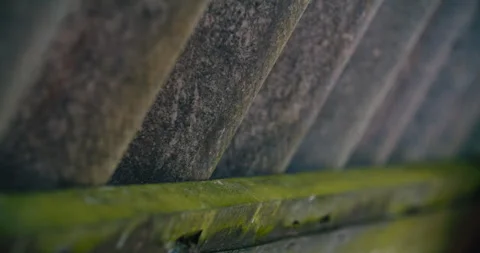 Interior of abandoned zinc roofed triangle log cabin. static closeup of Stock Footage 240204466