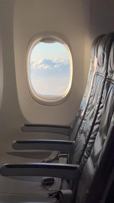 Interior of airplane with empty seats and scenery from the plane window Stock Footage 336912727