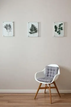 The interior of the apartment. wall with frames with plants Stock Photos