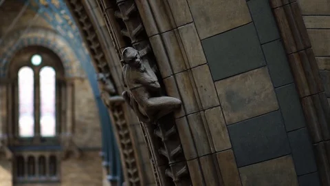 Interior architecture in gothic style building of Natural History Museum London Stock Footage 116680234