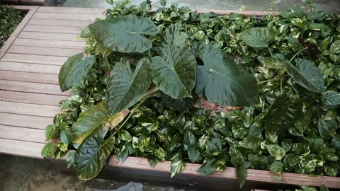 Interior. Artificial waterfall in the hall Stock Footage 104315246