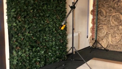 Interior of an artistic photo studio. Walls with drapery, letters Stock Footage 80538091