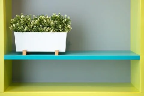 Interior background, copy space. Planter with plant on shelf, in wardrobe in Foto stock