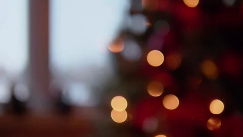 Interior Bokeh Christmas Tree Lights Background, Winter Field Scene Blurred Stock Footage 293252802