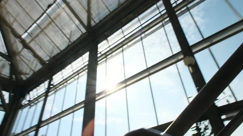 Interior of a botanical Building. Stock Footage 174110359