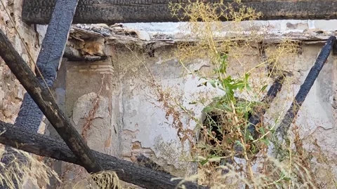 Interior of a burnt abandoned house featuring charred wooden beams, collapse Vídeo Stock 345172479