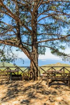 Interior of the cafe Foto stock
