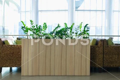 The interior of the cafe. Tables and rattan chairs. Ornamental plants. Stock Photos