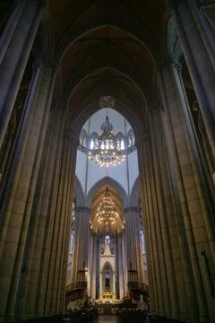 Interior of the Cathedral  Stock Photos