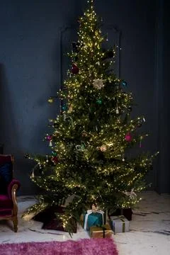 Interior christmas. Stock Photos