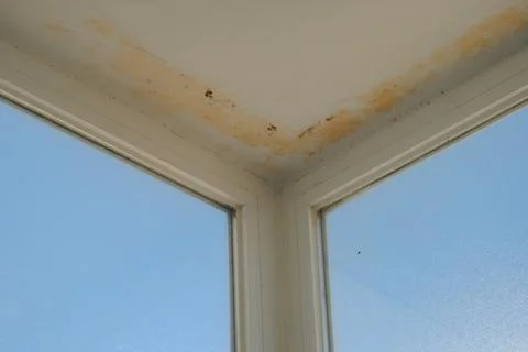 Interior Corner Window with Mold and Sky, Showing Damage and Decay. Stock Photos