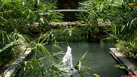Interior Courtyard water feature, Lightner Museum, St. Augustine, Florida 스톡 동영상 115862995