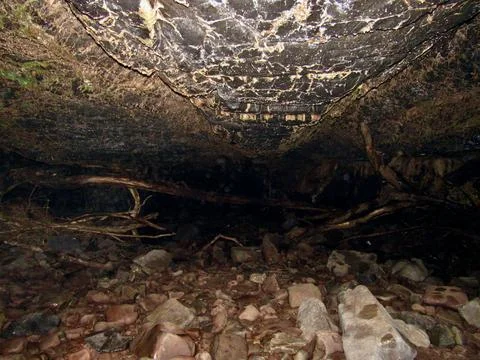 The Interior Of A Dark Welsh Cave With Dead Branches Throughout Stock Photos