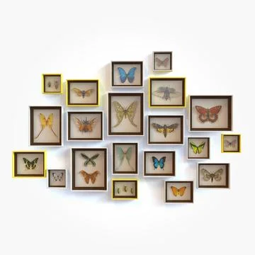 Interior Decor - Framed Butterflies 3D Model