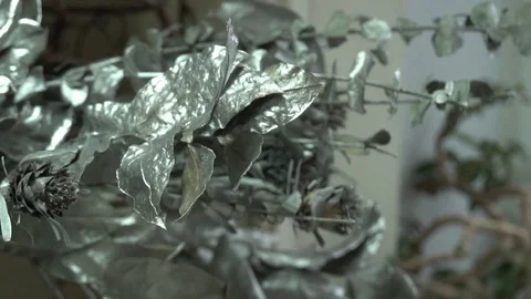 Interior decor, leaves are painted silver handmade Stock Footage 123684566